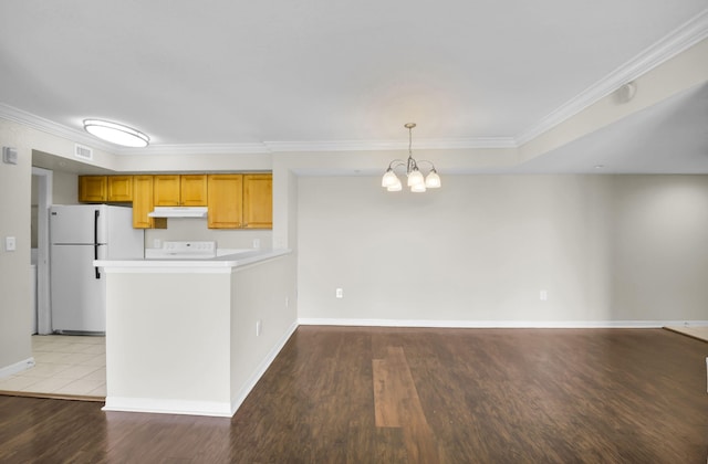 15185 Michelangelo Blvd Unit 204, Delray Beach, FL 33446 - kitchen with under cabinet range hood, freestanding refrigerator, a peninsula, light wood-type flooring, and a chandelier