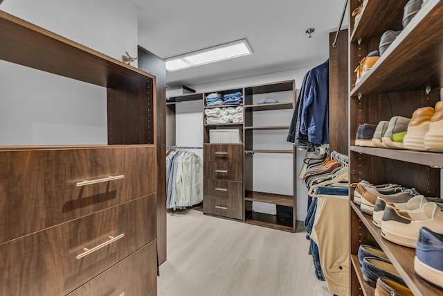 7572 Regency Lake Dr Unit 402, Boca Raton, FL 33433 - walk in closet with wood finished floors
