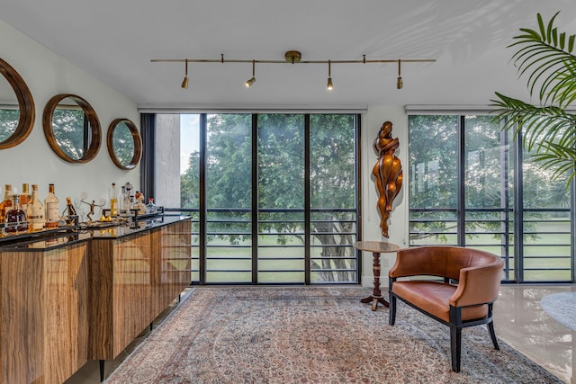7572 Regency Lake Dr Unit 402, Boca Raton, FL 33433 - bar with rail lighting, healthy amount of natural light, and a wall of windows