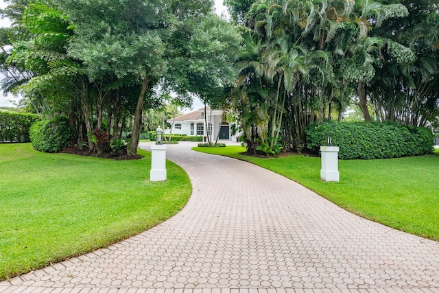 8246 Man O War Rd, Palm Beach Gardens, FL 33418 - view of community with decorative driveway and a lawn