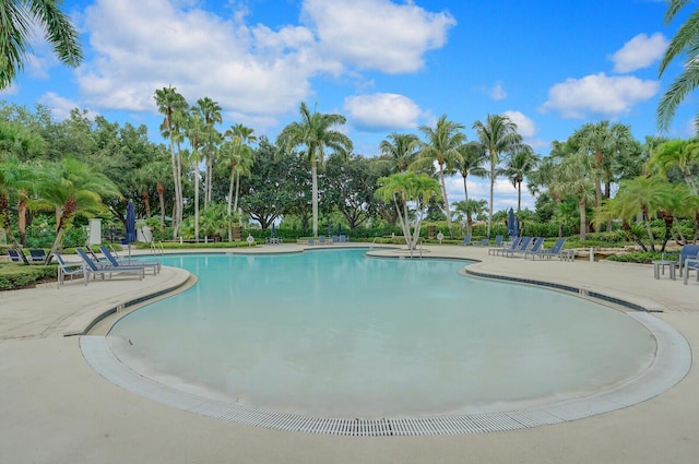 6164 C Durham Dr, Lake Worth, FL 33467 - community pool with a patio area and view of wooded area