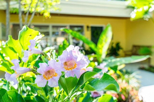 310 NW 18th St, Delray Beach, FL 33444 - exterior view