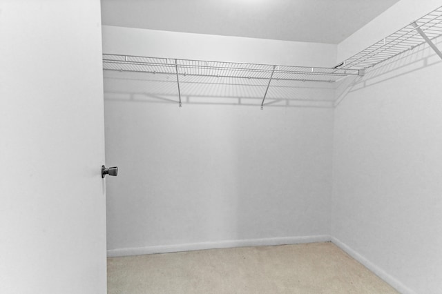 2860 SW 22nd Ave Unit 4170, Delray Beach, FL 33445 - spacious closet with carpet flooring