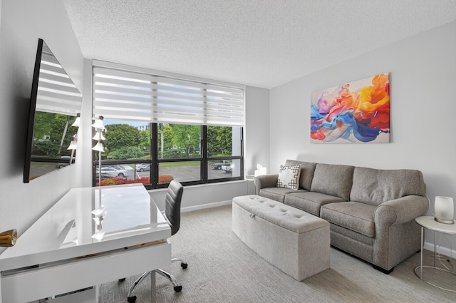 6815 Willow Wood Dr Unit 4022, Boca Raton, FL 33434 - office with healthy amount of natural light, baseboards, a textured ceiling, and carpet floors