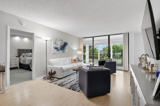 6815 Willow Wood Dr Unit 4022, Boca Raton, FL 33434 - living area featuring light wood finished floors and a textured ceiling
