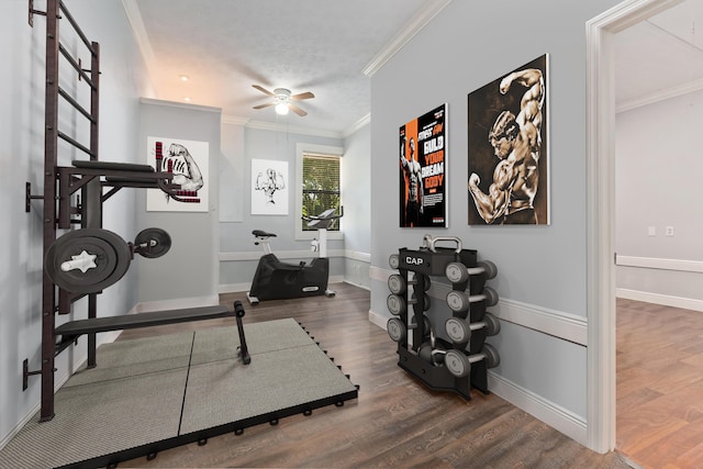 2130 W Boothe Dr, Fort Pierce, FL 34982 - workout room featuring ceiling fan, crown molding, wood finished floors, and baseboards