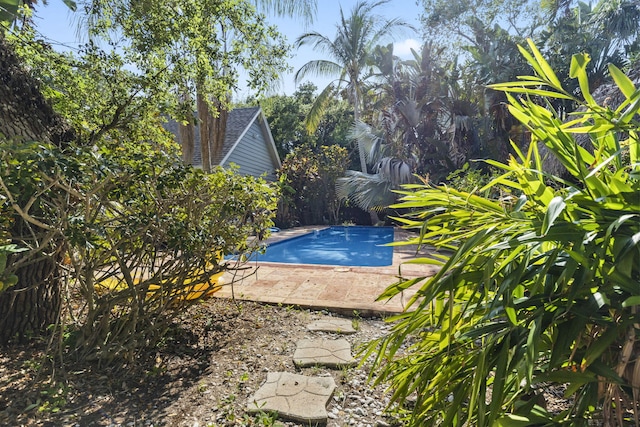 2070 Spring Pl, Vero Beach, FL 32963 - view of outdoor pool