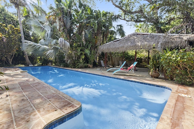 2070 Spring Pl, Vero Beach, FL 32963 - swimming pool with a patio