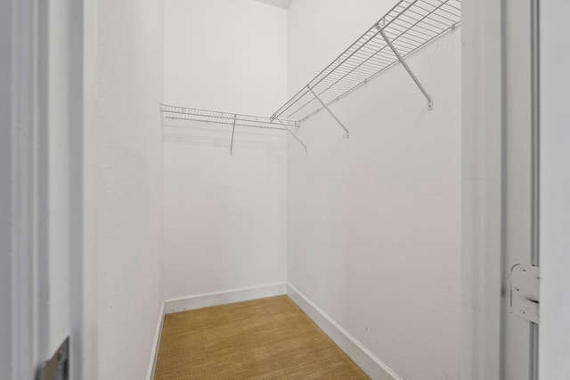 1579 Bow Line Rd, Fort Pierce, FL 34949 - walk in closet featuring light carpet