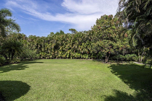 7656 Steeplechase Dr, Palm Beach Gardens, FL 33418 - view of green lawn