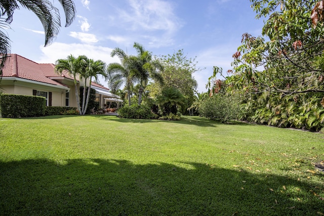 7656 Steeplechase Dr, Palm Beach Gardens, FL 33418 - view of grassy yard