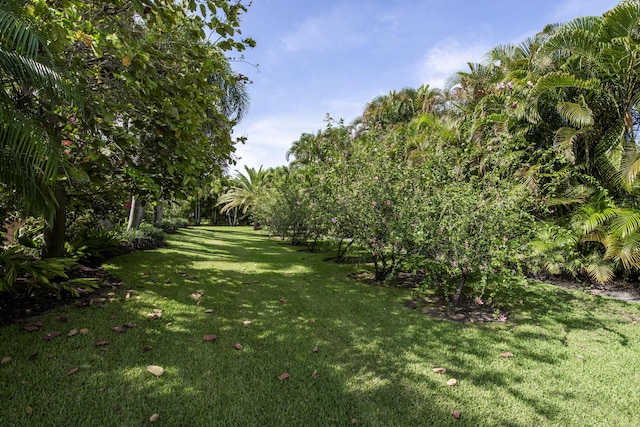 7656 Steeplechase Dr, Palm Beach Gardens, FL 33418 - view of green lawn