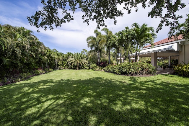 7656 Steeplechase Dr, Palm Beach Gardens, FL 33418 - view of green lawn