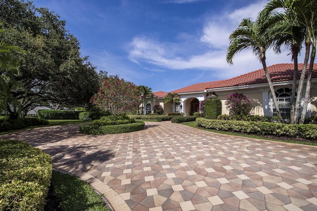7656 Steeplechase Dr, Palm Beach Gardens, FL 33418 - view of front of home with a tile roof, stucco siding, and curved driveway