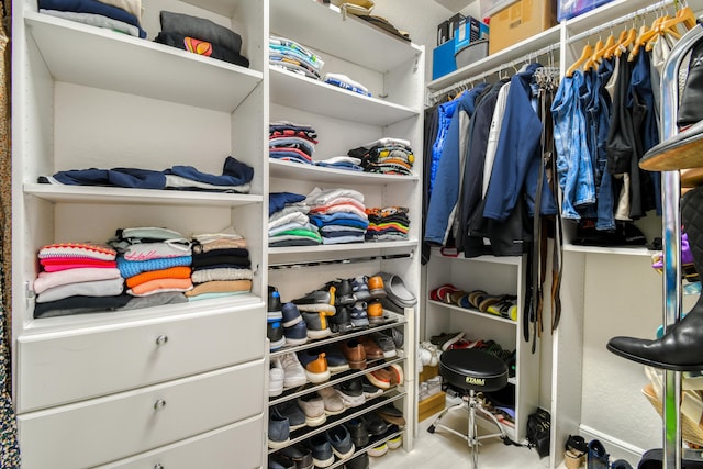 1522 Carafe Ct, Palm Beach Gardens, FL 33410 - view of walk in closet