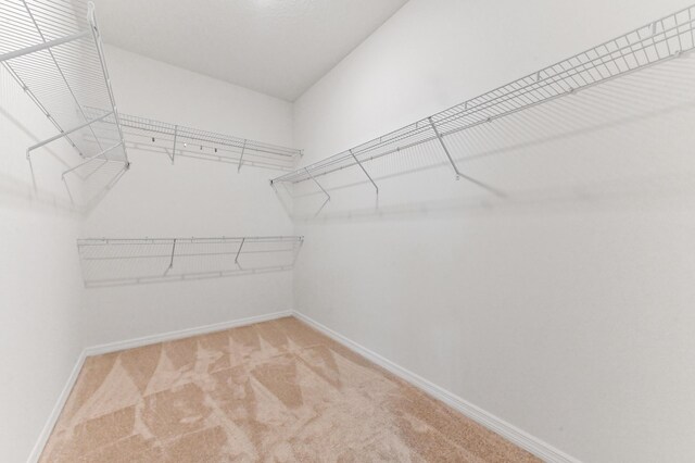 6700 NW Omega Rd, Port Saint Lucie, FL 34983 - walk in closet with carpet