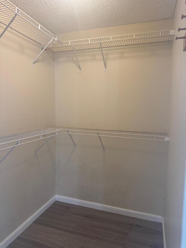 10789 N Military Trl Unit 3, Palm Beach Gardens, FL 33410 - walk in closet featuring wood finished floors