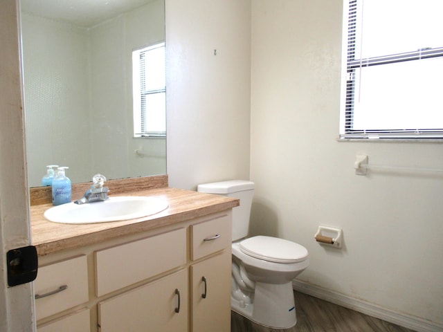 334 Brookedge Ter, Sebastian, FL 32958 - bathroom featuring vanity, toilet, and wood finished floors