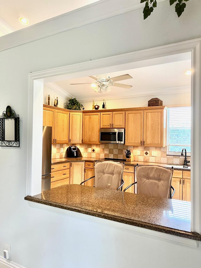 4920 Swans Ln, Coconut Creek, FL 33073 - kitchen featuring stainless steel appliances, crown molding, backsplash, a sink, and ceiling fan