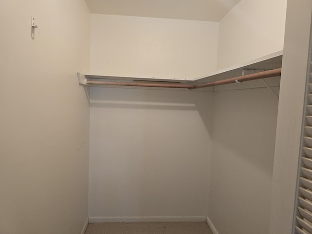 1003 SW 7th Ave, Boynton Beach, FL 33426 - walk in closet featuring carpet