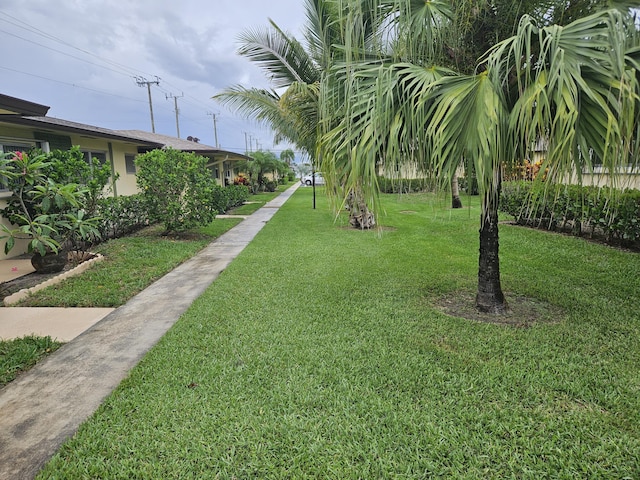 2941 Crrosley Dr W Unit E, West Palm Beach, FL 33415 - view of green lawn
