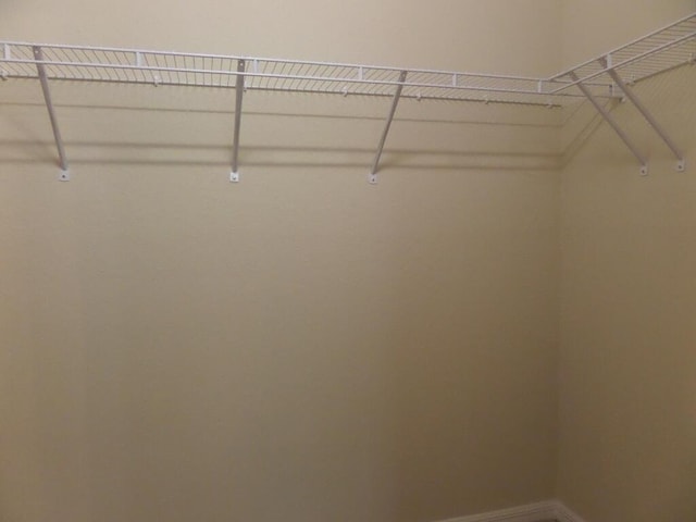 328 Lake Monterey Cir, Boynton Beach, FL 33426 - view of spacious closet