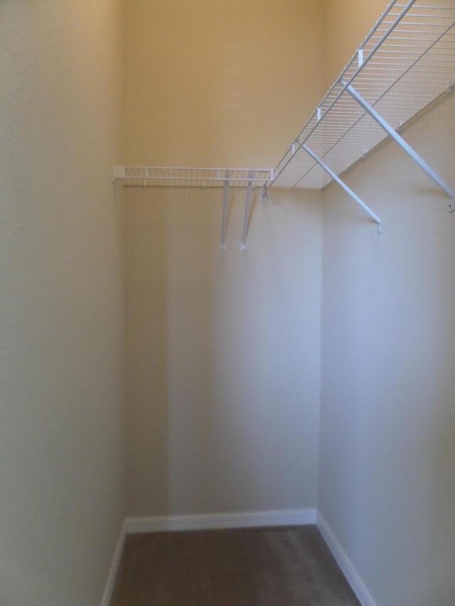 328 Lake Monterey Cir, Boynton Beach, FL 33426 - view of walk in closet