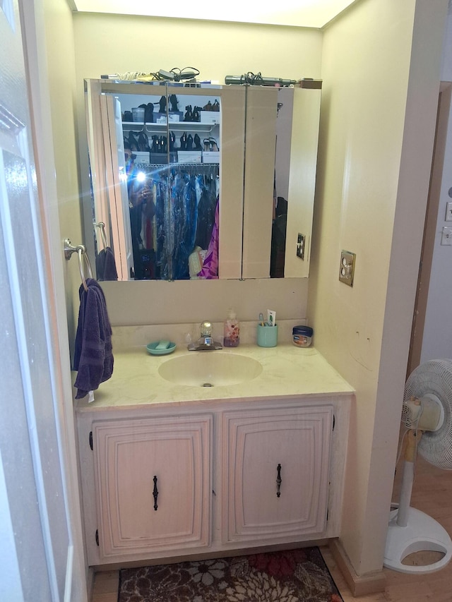 3821 Environ Blvd Unit 203, Lauderhill, FL 33319 - bathroom with vanity and a walk in closet