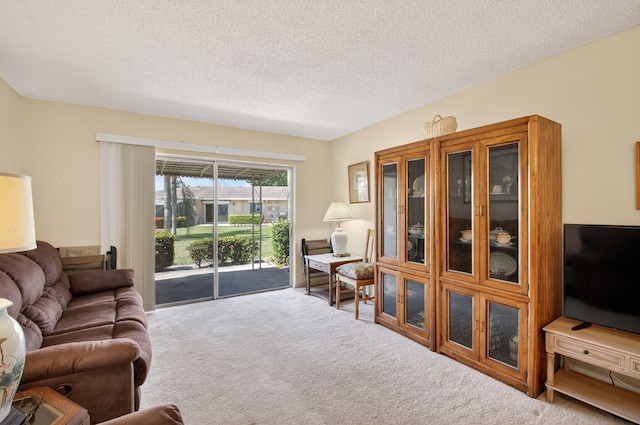 8644 Boca Dr, Boca Raton, FL 33433 - carpeted living area with a textured ceiling