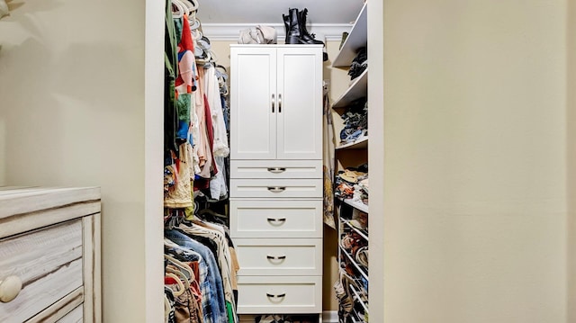 3001 W Linton Blvd Unit 204C, Delray Beach, FL 33445 - view of walk in closet