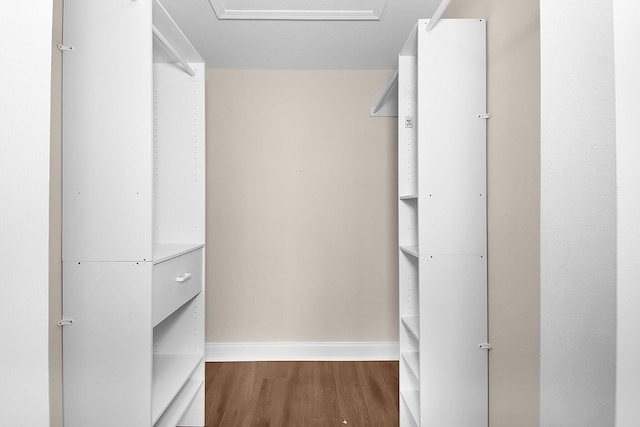2867 SW Mustang Ter, Stuart, FL 34997 - walk in closet featuring wood finished floors