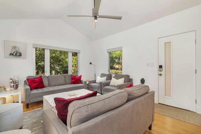 711 Ardmore Rd, West Palm Beach, FL 33401 - living area with light wood finished floors, a ceiling fan, and high vaulted ceiling