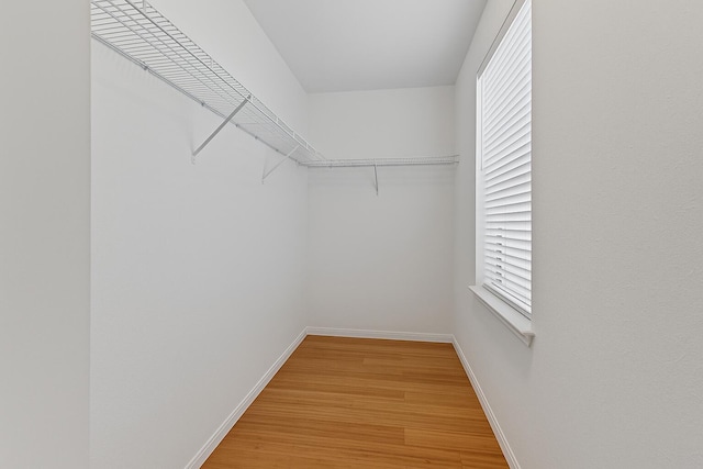 474 Francesca Ridge Rd, Boynton Beach, FL 33435 - spacious closet with light wood-type flooring