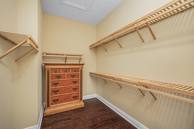 18006 SW Cosenza Way, Port Saint Lucie, FL 34987 - spacious closet featuring dark wood finished floors