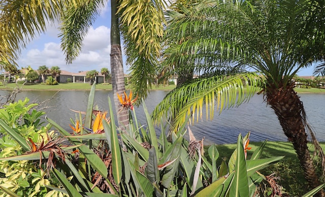 18006 SW Cosenza Way, Port Saint Lucie, FL 34987 - water view
