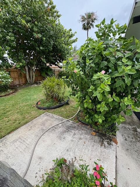 729 W Kalmia Dr, Lake Park, FL 33403 - view of yard