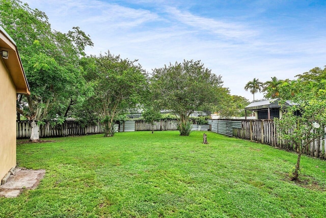 8330 NW 23rd St, Pembroke Pines, FL 33024 - view of yard