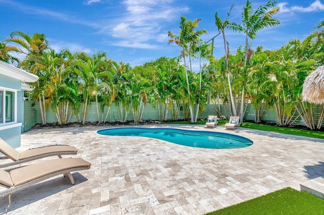1220 N Swinton Ave, Delray Beach, FL 33444 - view of pool with a patio and a fenced backyard