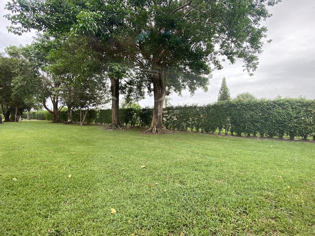 302 Pine Ridge Cir Unit D-1, Greenacres, FL 33463 - view of green lawn