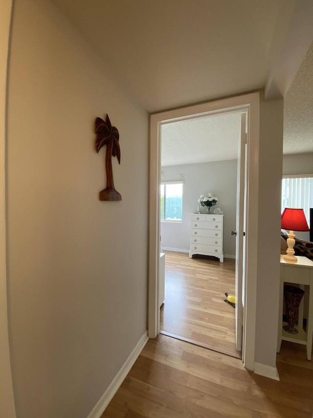 302 Pine Ridge Cir Unit D-1, Greenacres, FL 33463 - hall featuring light wood-type flooring and baseboards