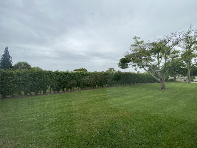 302 Pine Ridge Cir Unit D-1, Greenacres, FL 33463 - view of grassy yard