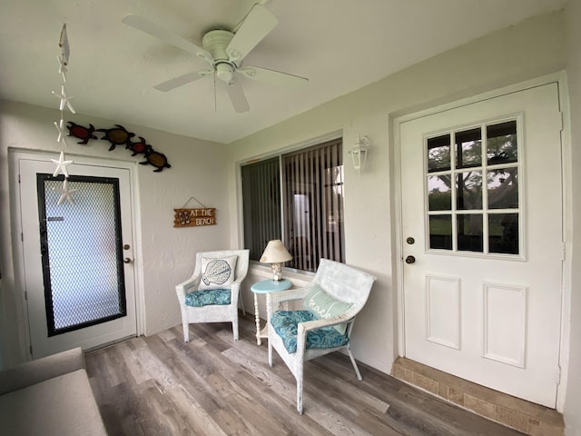 302 Pine Ridge Cir Unit D-1, Greenacres, FL 33463 - doorway to property with a ceiling fan and stucco siding