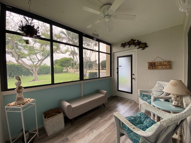 302 Pine Ridge Cir Unit D-1, Greenacres, FL 33463 - sunroom / solarium with a ceiling fan