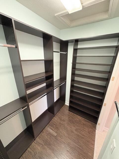 110 W Coda Cir Unit 110, Delray Beach, FL 33444 - walk in closet with dark wood-style flooring
