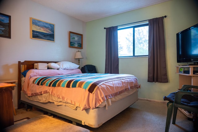 2511 SE Marius St, Port Saint Lucie, FL 34953 - view of carpeted bedroom