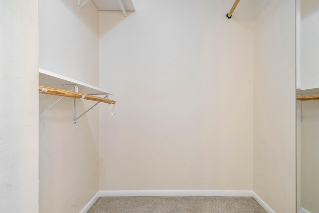 521 Shady Pine Way Unit C2, Greenacres, FL 33415 - walk in closet with carpet flooring