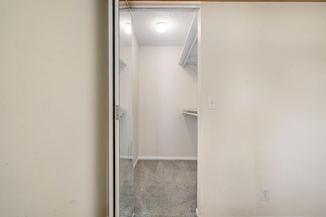 521 Shady Pine Way Unit C2, Greenacres, FL 33415 - walk in closet with carpet