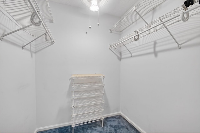 3946 Quail Ridge Dr N, Boynton Beach, FL 33436 - spacious closet with carpet floors
