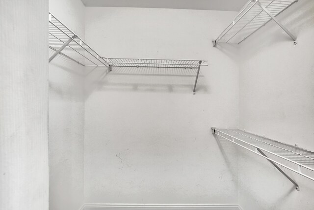 4903 Midtown Ln Unit 3114, Palm Beach Gardens, FL 33418 - view of walk in closet