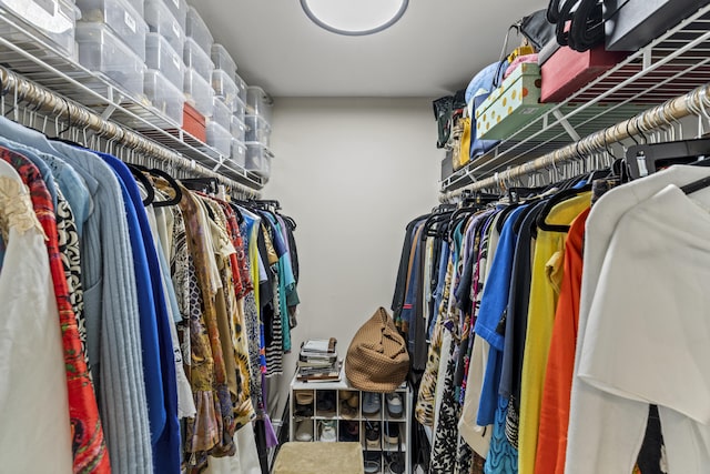 12829 Briarlake Dr Unit 102, Palm Beach Gardens, FL 33418 - view of walk in closet